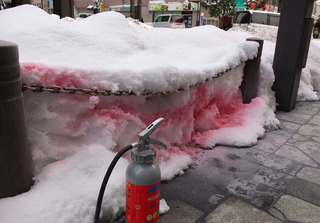 DSCF5319.jpg